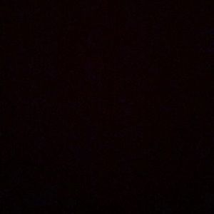 Meet your Posher, Wayne